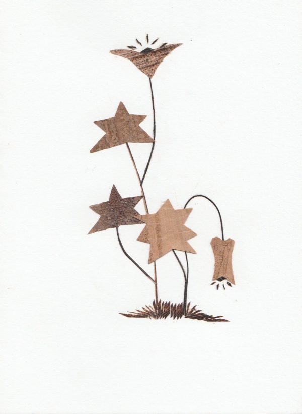 Card Flowers (Pack of 5)