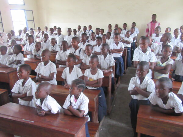 Brick to build a new school - Gift Code EDU02 - Image 2