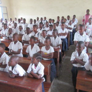 Brick to build a new school - Gift Code EDU02