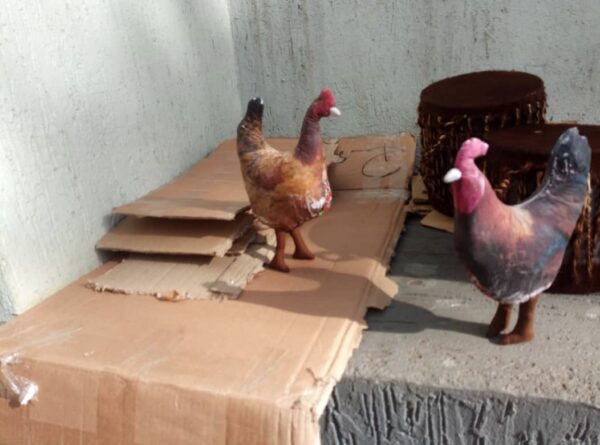 Chickens - Image 2